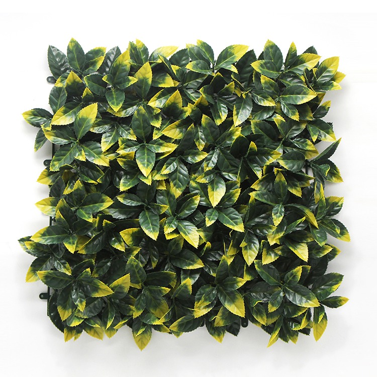Artificial Green Wall Planks PHOTINIA YELLOW Pack of 6  Rs:5700/-